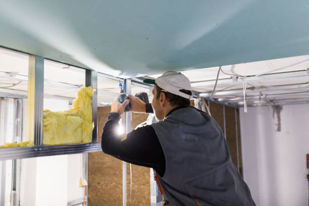 Best Spray Foam Insulation in Roanoke, IL