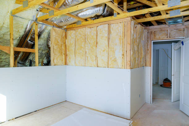 Professional Insulation Contractor in Roanoke, IL