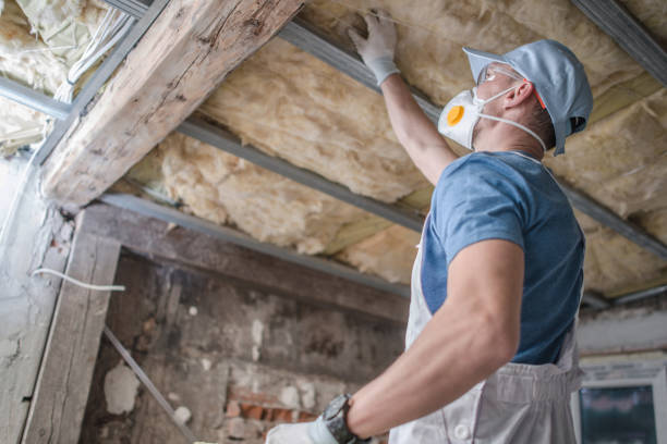 Best Cellulose Insulation in Roanoke, IL