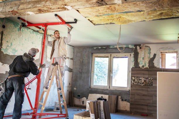 Best Fiberglass Insulation in Roanoke, IL