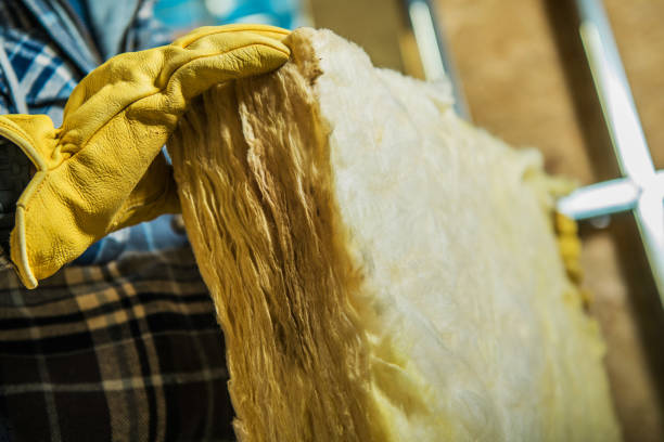 Best Spray Foam Insulation in Roanoke, IL