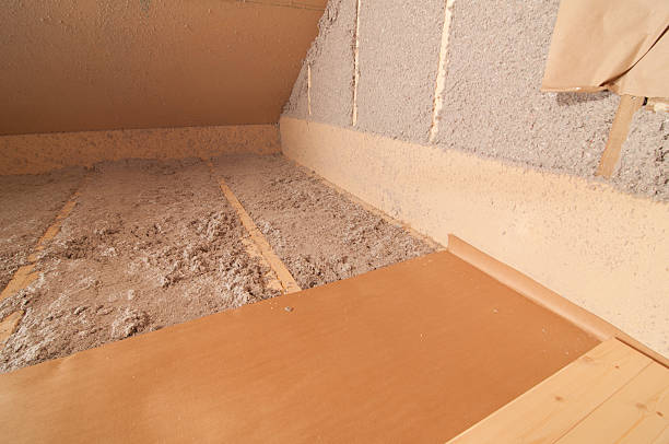Best Specialized Insulation Services in Roanoke, IL