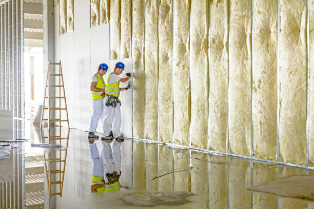 Types of Insulation We Offer in Roanoke, IL